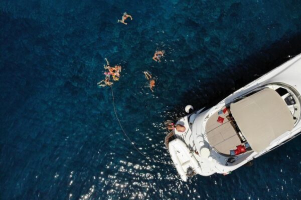 Mangusta-65g-600x400