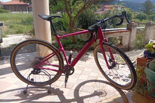 Immagine WhatsApp 2025-06-29 ore 21.29.45_07c3b155