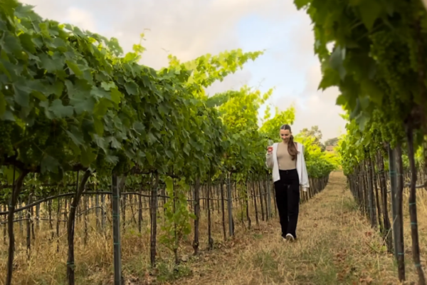 Screenshot 2026-02-04 122957