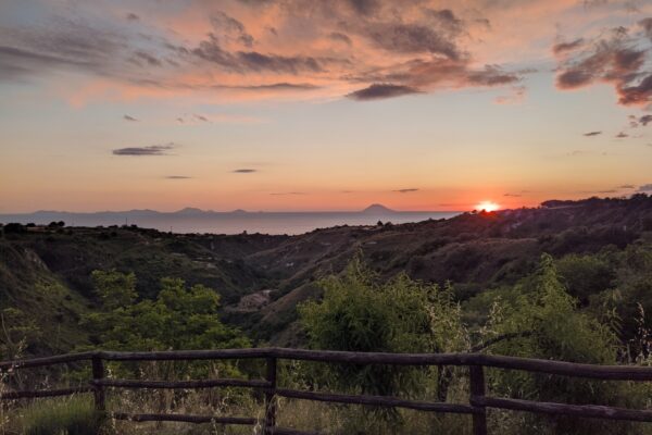 WhatsApp Image 2026-02-04 at 16.30.59