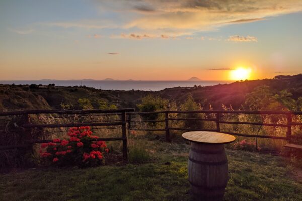 WhatsApp Image 2026-02-04 at 16.31.00