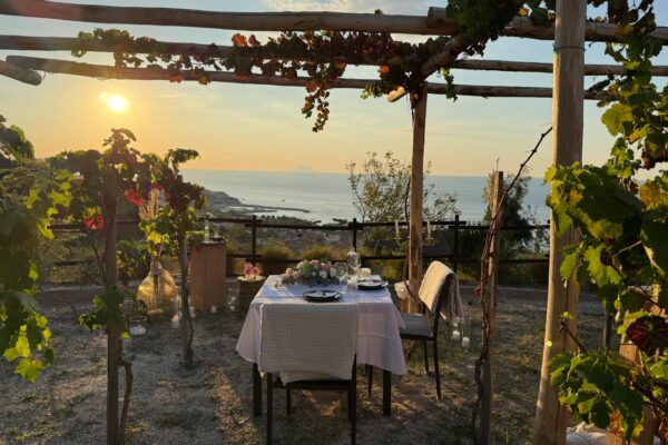 Proposta di matrimonio in vigna
