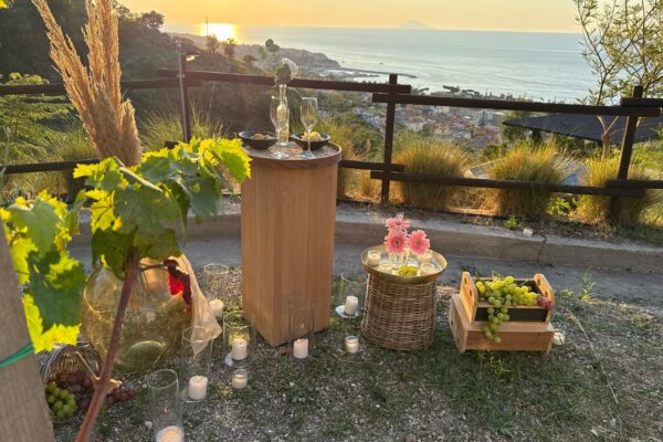 Proposta in vigna